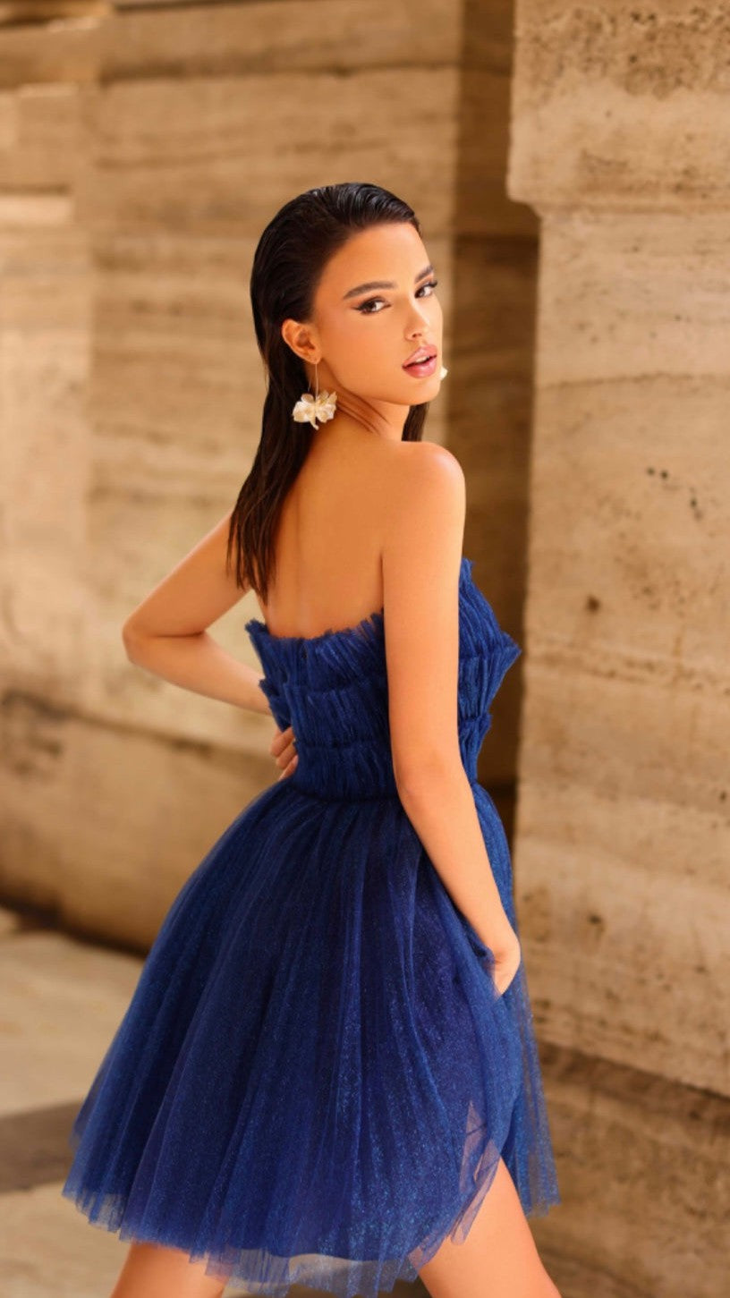 Nicoletta cocktail dress NC1095